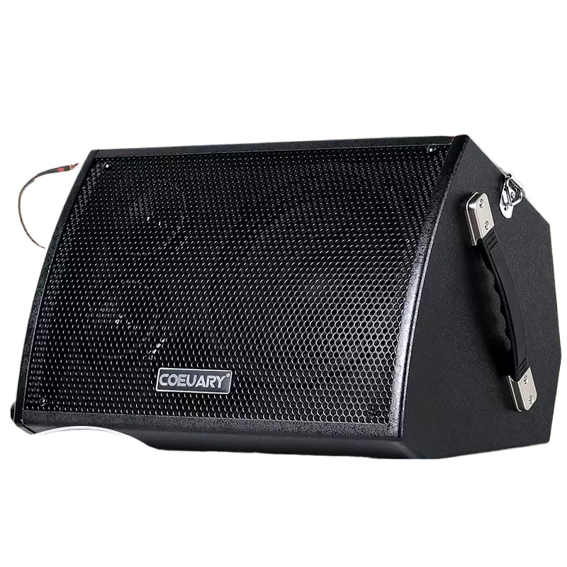 Musical Instrument Long - 60W Folk Guitar Singing Playback Speaker