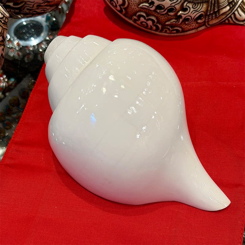 Musical Instrument Indian - Home Decor Conch Shell Indian natural