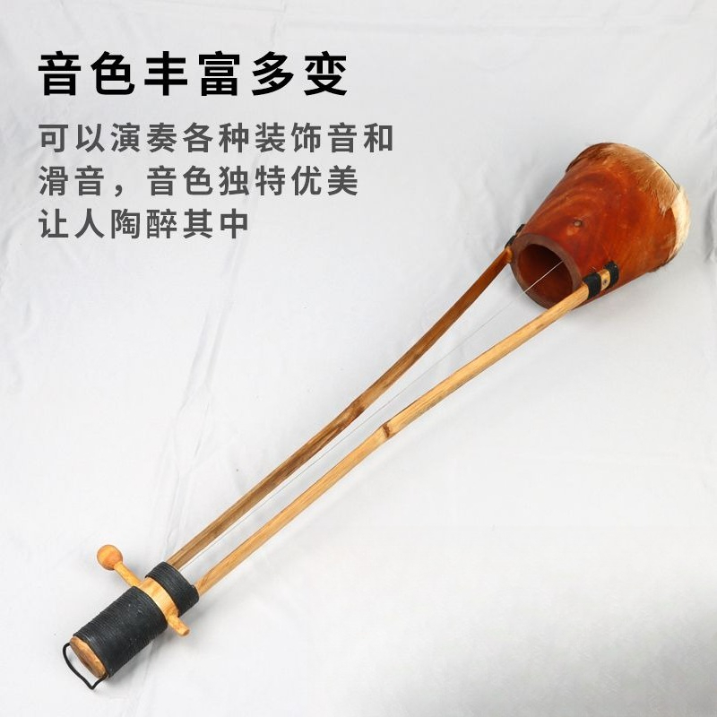 Gopichand South Asian Bengal I - Musical Instrument Indian recension och pris