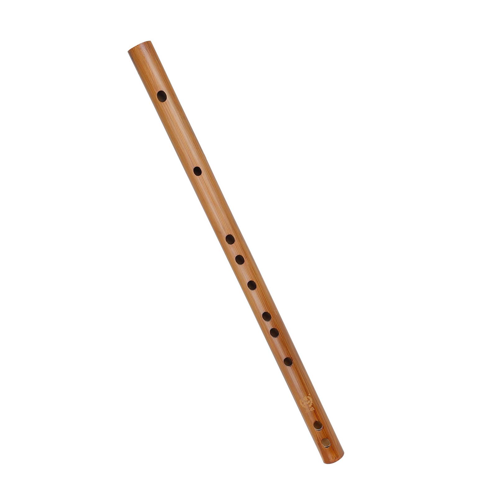 Unique Birthday Gift ,Indian W - Musical Instrument Indian recension och pris