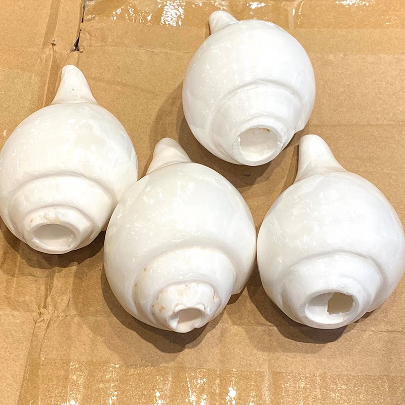 Home Decor Conch Shell Indian  - Musical Instrument Indian recension och pris