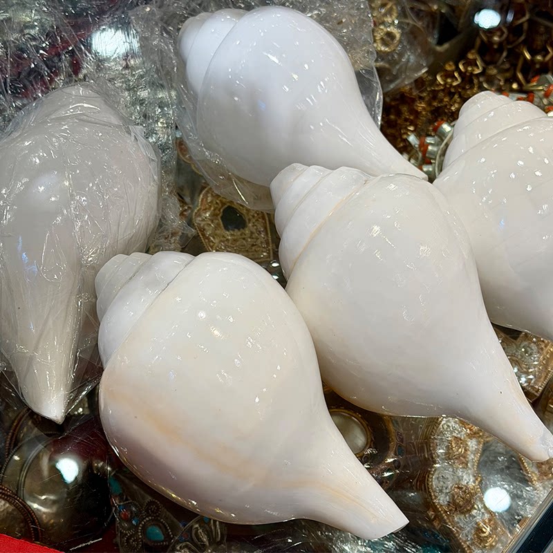 Home Decor Conch Shell Indian  - Musical Instrument Indian recension och pris